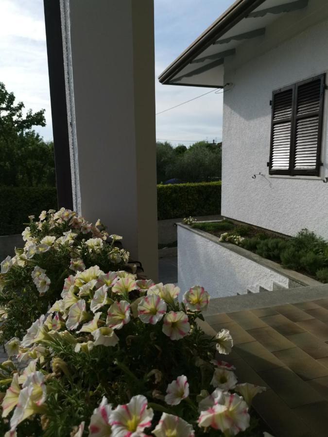 Villa Flora Affittacamere Luni Ngoại thất bức ảnh